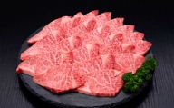【訳あり】 博多和牛ヒレ焼肉 約600g×1パック 福岡県産 国産 牛肉 お肉 焼肉 BBQ