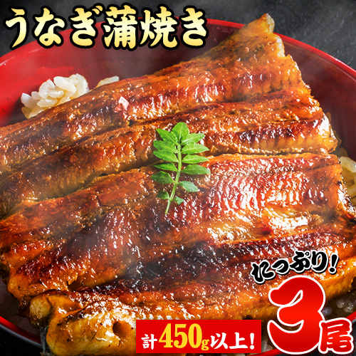 うなぎ 蒲焼き 3尾 合計450g以上 期間限定 数量限定 緊急支援 生産者応援キャンペーン 丑の日《出荷時期をお選びください》 | au PAY ふるさと納税