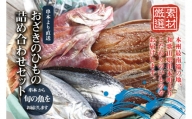おざきのひもの 詰め合わせセット＜旬の魚をお届け！＞（Aセット） 【冷凍】【ozk100-1】