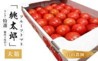 ５０１６　美味しんぼに登場したトマト｢桃太郎｣大箱 約3.5ｋｇ：特選 糖度９度以上 令和6年１月中・下旬より順次発送 石山農園
