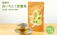 白いちじく茶（３袋）/農薬・化学肥料不使用/ファーストフラッシュ