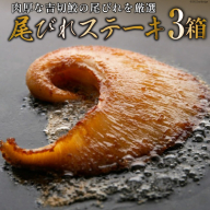 【TVで紹介】ふかひれステーキ3箱 [石渡商店 宮城県 気仙沼市 20563459] フカヒレ 鱶鰭 ふかひれ ステーキ 尾びれ ヨシキリザメ ヨシキリザメ 吉切鮫