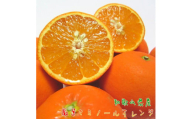 厳選！セミノールオレンジ 約3kg【農家直送】【先行予約】【和歌山県産】【2025年4月上旬～4月下旬発送】
