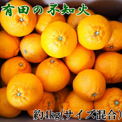 ZD6379n_【2026年先行予約】【濃厚】有田産不知火約4kg（M～3Lサイズ混合） 939152 - 和歌山県湯浅町
