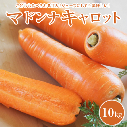 ＜フジテレビ『どっちのふるさと？』で紹介されました！＞ こどもも食べられる甘み！ジュースにしても美味しい！「マドンナキャロット」 10kg にんじん 野菜 H105-123 93929 - 愛知県碧南市