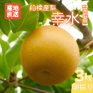 【2026年産先行予約】＜家庭用＞果汁たっぷりの極上梨「幸水・3kg」6～9玉 千葉県 船橋市産