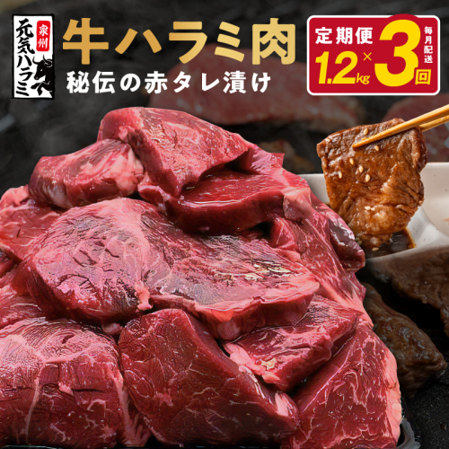 牛ハラミ 定期便 1.2kg 全3回【毎月配送コース 小分け 300g×4 味付き 牛肉 焼くだけ 小分け BBQ やきにく 数量限定】 099Z380 939926 - 大阪府泉佐野市