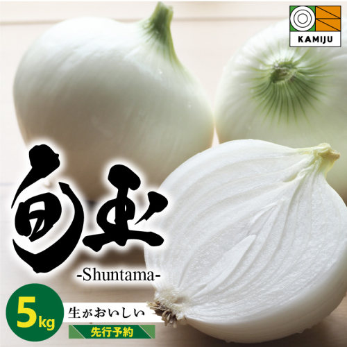 (2026年発送)新玉ねぎ 生がおいしい 神重農産のブランド玉ねぎ「旬玉」5kg ブランド玉ねぎ 玉ねぎ 国産 愛知県産 野菜 やさい 農家直送 畑直送 旬 期間限定 たまねぎ 先行予約 旬 特産 高評価 高リピート 人気 H105-176 94017 - 愛知県碧南市