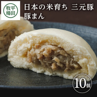 SA1786　【平田牧場】日本の米育ち 三元豚 豚まん　10個