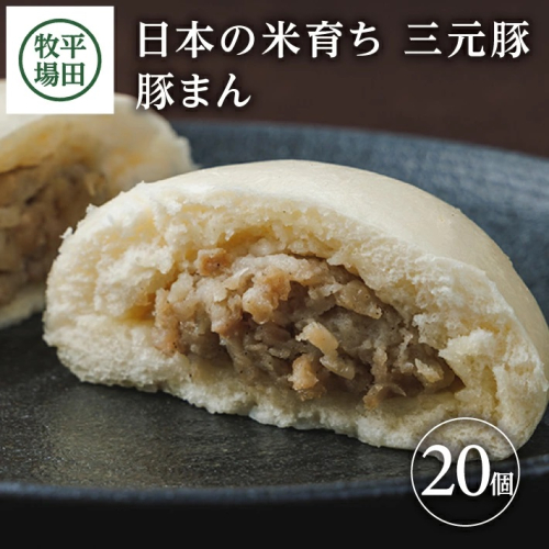 SC0501　【平田牧場】日本の米育ち 三元豚 豚まん　20個 940278 - 山形県酒田市