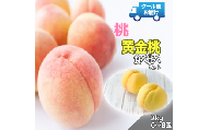 5-184 クール便　収穫当日に発送　桃＆黄金桃　食べ比べセット　2㎏　6～8玉