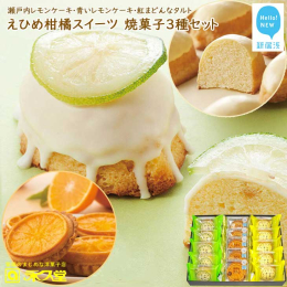 瀬戸内の太陽をいっぱい浴びた柑橘を使った、柑橘王国愛媛のまじめな洋菓子店永久堂自慢の焼き菓子3種詰め合わせセットです。 【瀬戸内レモンケーキ】お取り寄せブームで大人気！永久堂を代表する焼菓子 愛媛県産