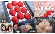 シエルファーム いちごチケット 5000円分/ 苺 いちご