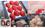 シエルファーム いちごチケット 3000円分/ 苺 いちご