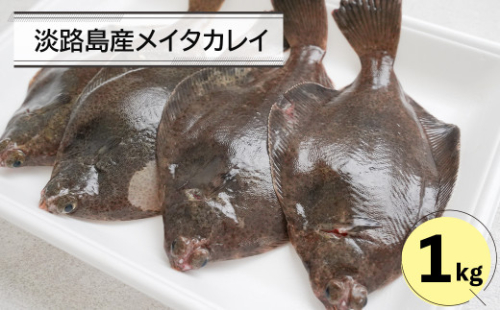 淡路島産メイタカレイ 1キロ 940840 - 兵庫県淡路市