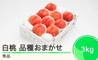 もも 白桃 秀品 品種おまかせ 3kg  化粧箱入りフルーツ 果物 令和6年産 2024年産 山形県産 ns-mohtx3