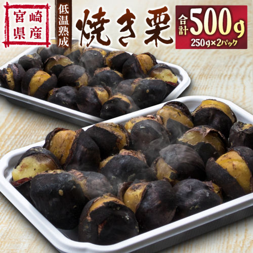 ＜先行予約＞宮崎県産 低温熟成栗［焼き栗］計500g（250g×2パック）おやつ 秋の味覚 お取り寄せ【B617-25】 940985 - 宮崎県新富町