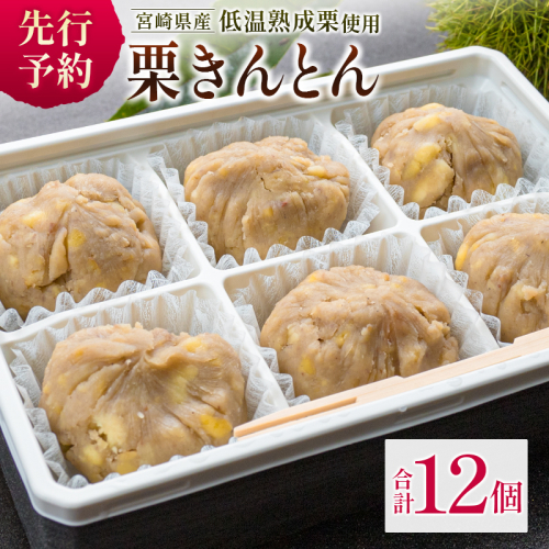 宮崎県産 低温熟成栗100%［栗きんとん］計12個 おやつ 甘い お取り寄せ【B619-25】 940987 - 宮崎県新富町
