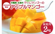 【2024年発送】沖縄糸満市産　でーじマンゴーのアップルマンゴー2kg(家庭用) わけあり