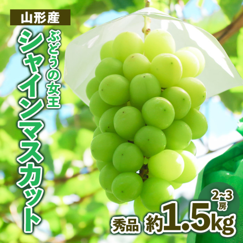 山形産 ぶどうの女王 シャインマスカット 秀品 約1.5kg FZ23-479 941131 - 山形県山形市