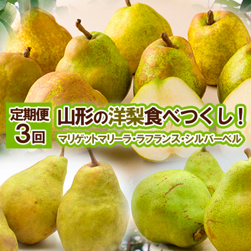 ★定期便3回★山形の洋梨食べつくし！(マリゲットマリーラ・ラフランス・シルバーベル) 【令和8年産先行予約】FS25-688 941184 - 山形県山形市