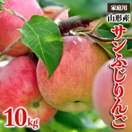【家庭用】山形産 サンふじりんご 優品以上 10kg FY23-452