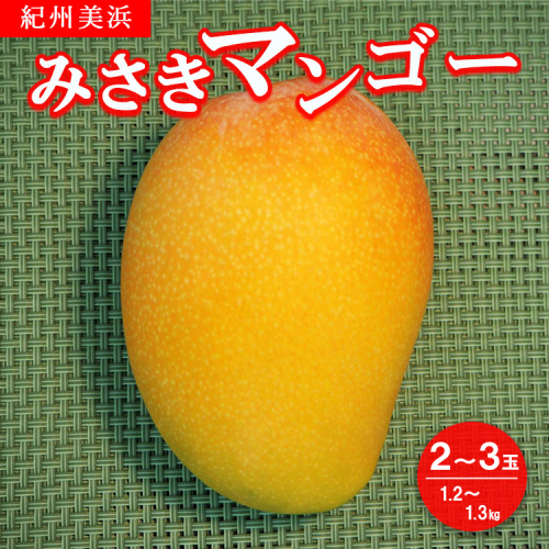 紀州美浜みさきマンゴー2～3玉（1.2～1.3kg）
※着日指定不可
※離島への配送不可
※2023年7月中旬～8月下旬頃に順次発送予定 941427 - 和歌山県美浜町