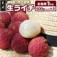 都城産生ライチ『月の真珠』お徳用1kgパック_AD-F505-7