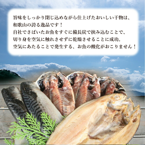 紀州備長炭干し詰合せ (真あじ) 湯浅町【干物 魚 詰め合わせ 食べ比べ】-