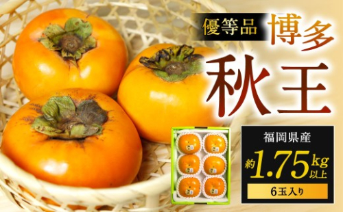 福岡県産 博多秋王【優等品】 約1.75kg以上（6玉入り）【2026年10月下旬～11月下旬発送予定】柿 かき 秋王 果物 フルーツ くだもの 先行予約