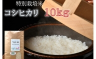 【1-9】コシヒカリ（特別栽培米）10kg