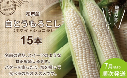 柏市産の白とうもろこし、ホワイトショコラをお届けいたします。普通のとうもろこしは黄色が主流ですがホワイトコーンは糖度が高く、ジューシーさが特徴です。〈おすすめのお召し上がり方〉皮を2、3枚残し電子レン