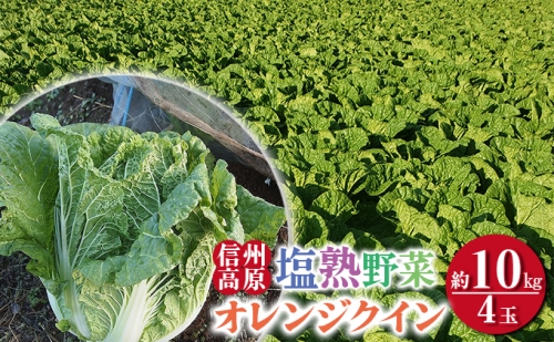 信州高原塩熟野菜（オレンジクイン）約10kg 4玉 942777 - 長野県小諸市