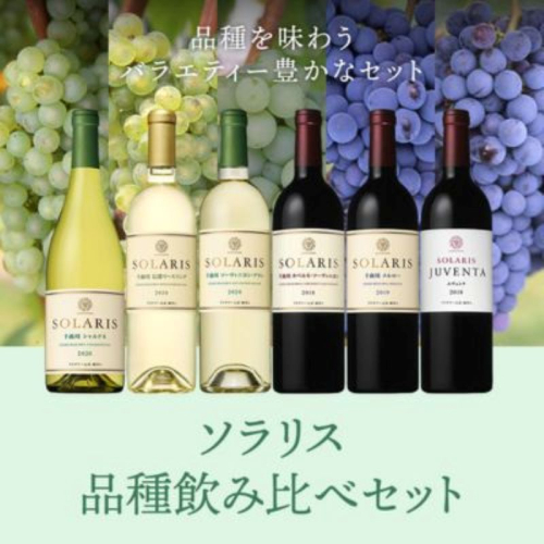 ソラリス 品種飲み比べセット ワインセット ワイン 赤ワイン 白ワイン シャルドネ 辛口ワイン ソーヴィニヨン メルロー スパイシー タンニン  942784 - 長野県小諸市