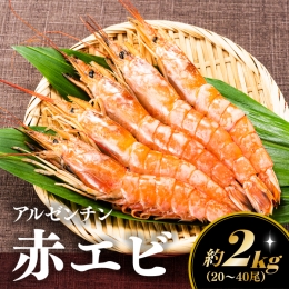 本商品は、アルゼンチン産赤海老を新宮町で加工した商品です。 新鮮なので、お刺身でも焼きでも美味しく召し上がれます。風味抜群のエビは食感が柔らかく、甘くてまろやかな味わい。 頭の部分には味噌が詰まってい
