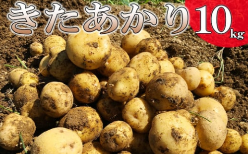 【松浦農園】 じゃがいも きたあかり 10kg ／ ジャガイモ じゃが芋 キタアカリ 産地直送 旬 943530 - 岩手県八幡平市
