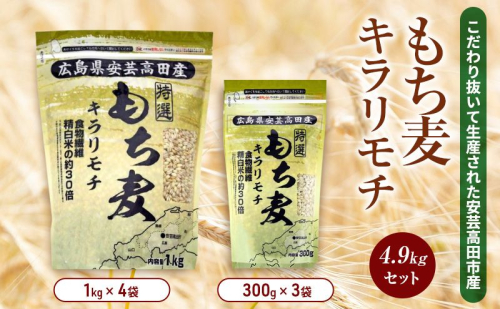 もち麦 国産 キラリモチ 特選もち麦 4.9kgセット 広島県安芸高田産 お米 安心 安全  炊飯 変色 食物繊維 大粒 栄養価 ぷりぷり 大麦  943948 - 広島県安芸高田市