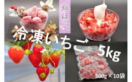 【ふるさと納税】シエルファーム 冷凍いちご 紅ほっぺ 5kg / 苺 千葉