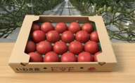 いわき市産大玉トマト「りんか」 4kg(18〜28玉) 大容量
