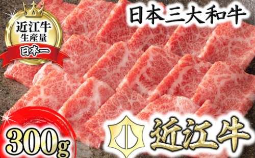 【認定近江牛雌牛限定】近江牛特上焼肉　バラ・モモ300g【カネ吉山本】【Y116W】 944515 - 滋賀県近江八幡市
