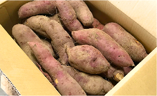 小豆島のさつまいも【紅あずま約5kg】 | au PAY ふるさと納税