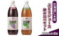 北海道仁木産ぶどうジュース飲み比べセット（キャンベルス、ナイヤガラ）：2本