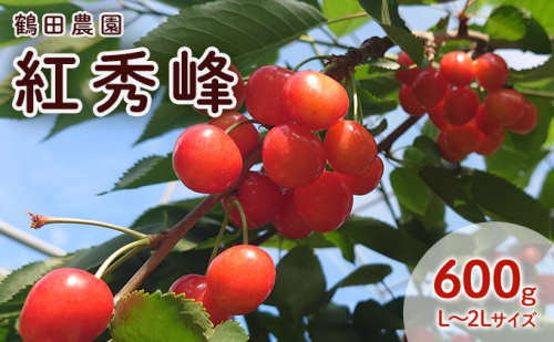 [先行受付] 数量限定 北海道 仁木町産 果肉がプリ しっかり大粒 甘い さくらんぼ 紅秀峰 600g Lサイズ以上 果物 フルーツ チェリー 高糖度 リピーター 朝採り 大人気 酸味 甘み ジューシー [鶴田農園] 945059 - 北海道仁木町