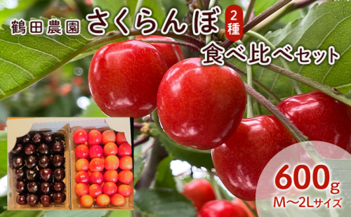 [先行受付] 数量限定 北海道 仁木町産 さくらんぼ 2種 食べ比べセット 600g Lサイズ以上 サクランボ 果物 フルーツ チェリー ジューシー 旬のフルーツ 旬の果物 食べ比べ 国産 日本産 [鶴田農園] 945060 - 北海道仁木町