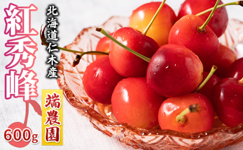 先行受付 北海道 仁木町産 さくらんぼ 南陽 600g（300g×2パック） 北海道知事賞受賞農園 デザート スイーツ 最優秀賞 おすすめ 美味しい サクランボ チェリー フルーツ 果物 果物類  仁木町 仁木 [端農園] 945062 - 北海道仁木町
