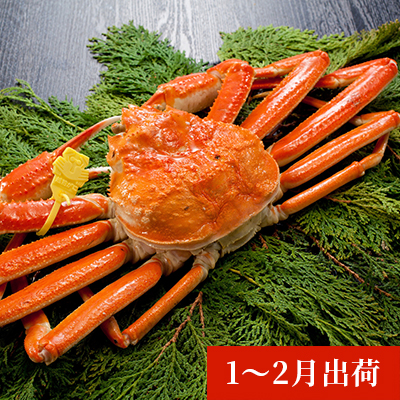 日本海で獲れた天然ズワイガニ（1kg以上） 94543 - 秋田県にかほ市