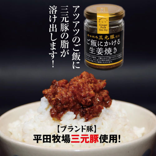 SZ0247　【平田牧場三元豚使用】ご飯にかける生姜焼き　計1個(80g×1個) 945493 - 山形県酒田市