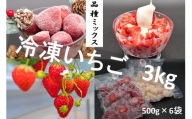 シエルファーム 冷凍いちご 品種ミックス 3kg / 苺 千葉
