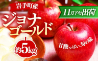 [11月下旬より順次発送][先行受付]ジョナゴールド約5kg 令和7年産 りんご リンゴ ジョナゴールド フルーツ 果物 くだもの アップル 甘み 酸味 濃厚 岩手産 岩手県産 岩手県 岩手町 髙村果樹園