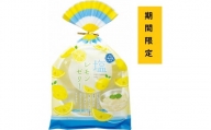 金澤兼六製菓４個巾着輪島塩入りレモンゼリー（1ケース×4個入り×12袋）